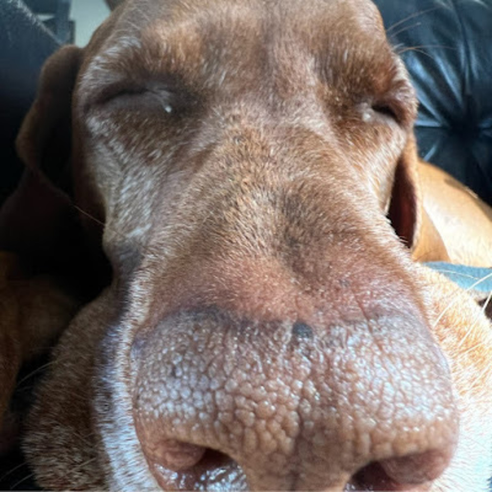 Meet your Posher, Kimmy